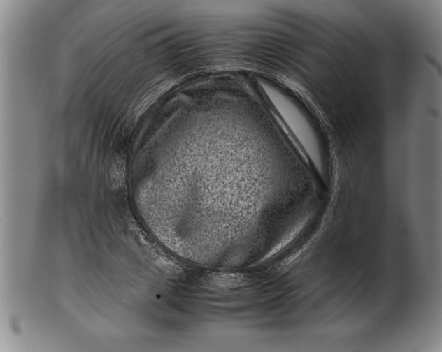 X0000099470833200805231828
