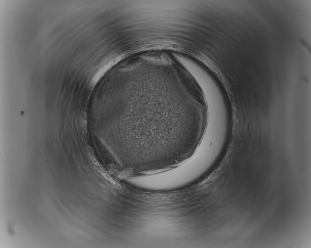 X0000099470834200805231828