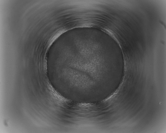 X0000099470835200805231828