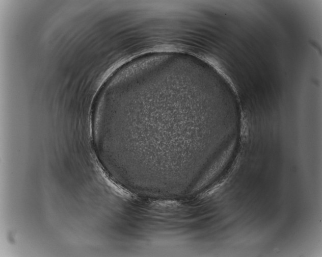 X0000099470837200805231828