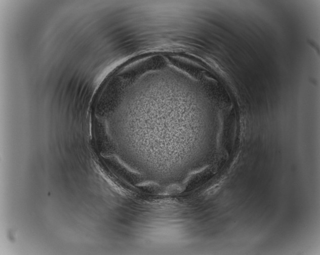 X0000099470838200805231828