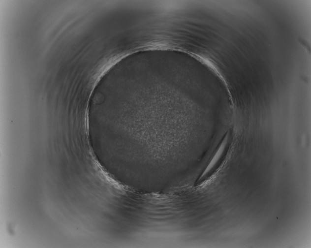 X0000099470839200805231828