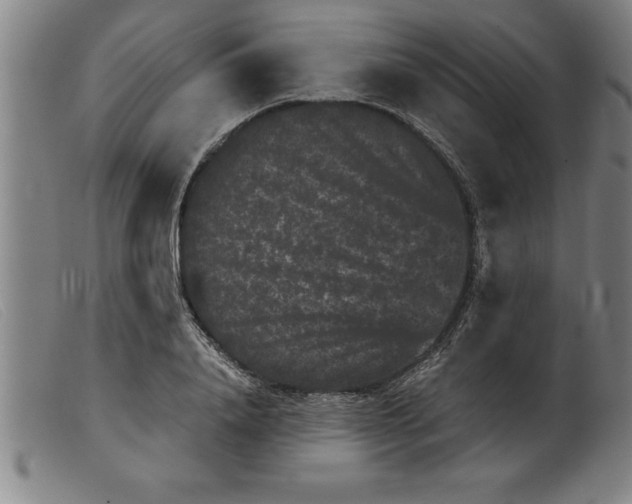 X0000099470840200805231828