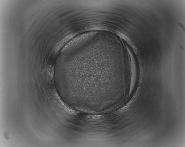 X0000099470841200805231828