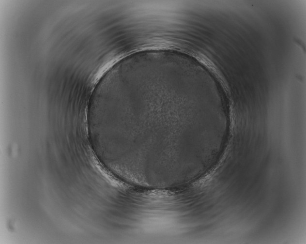 X0000099470842200805231828