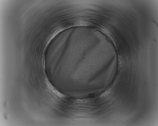 X0000099470843200805231828