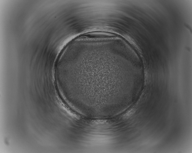 X0000099470846200805231828