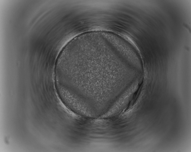 X0000099470847200805231828