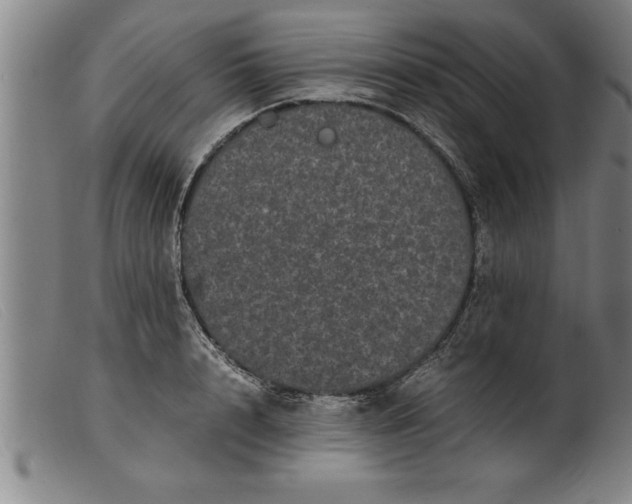 X0000099470848200805231828