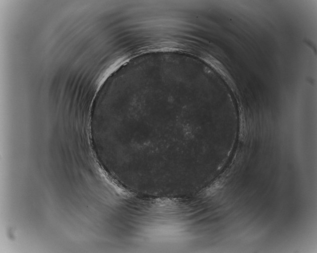 X0000099470850200805231828