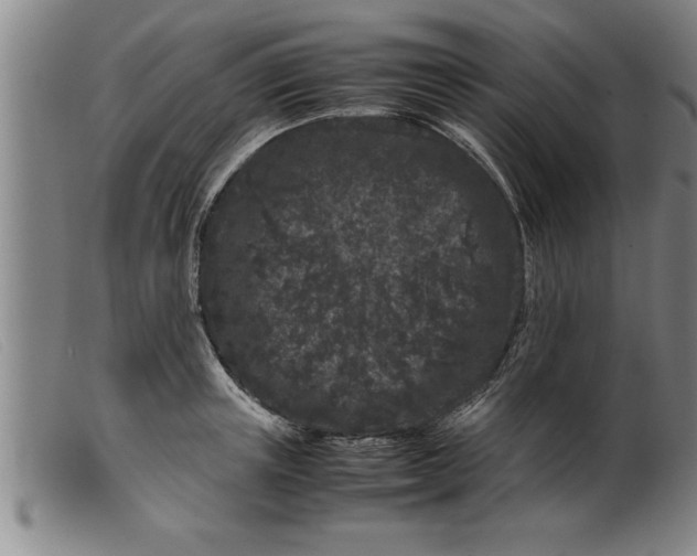 X0000099470851200805231828