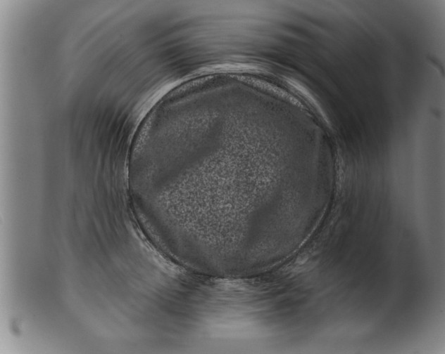 X0000099470852200805231828