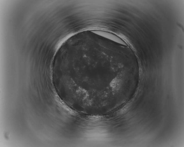 X0000099470854200805231828