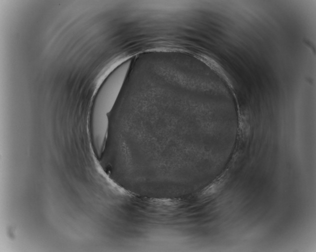 X0000099470855200805231828
