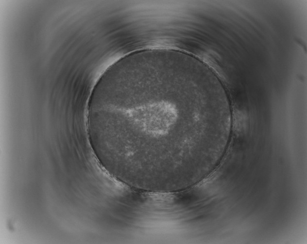 X0000099470856200805231828
