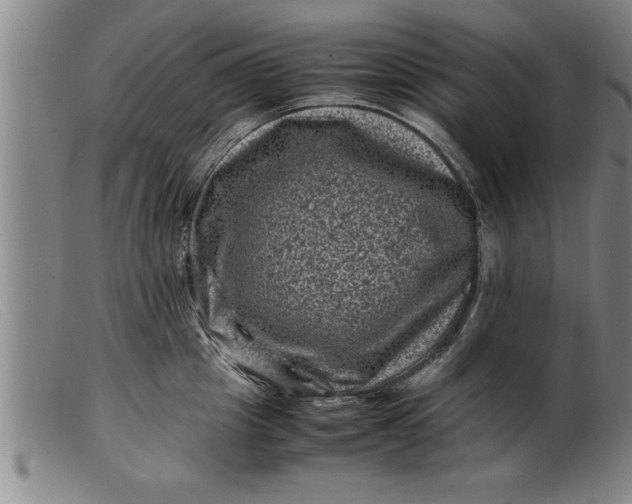 X0000099470857200805231828