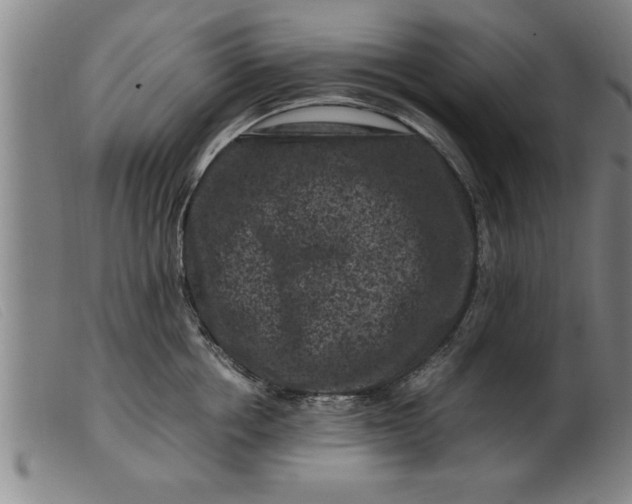 X0000099470858200805231828