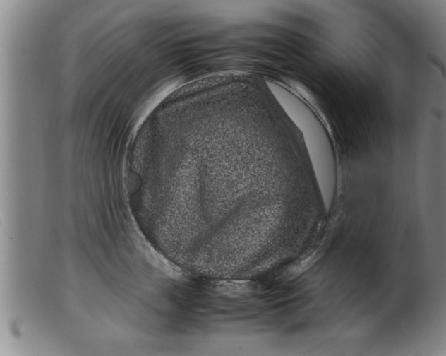 X0000099470859200805231828