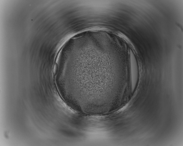 X0000099470860200805231828