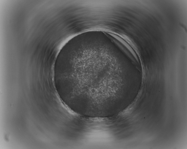 X0000099470862200805231828