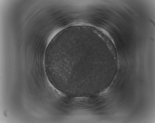 X0000099470863200805231828