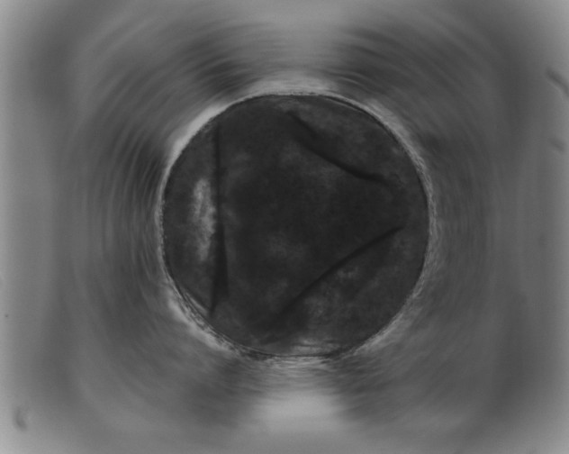 X0000099470864200805231828
