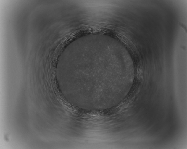 X0000099470865200805231828