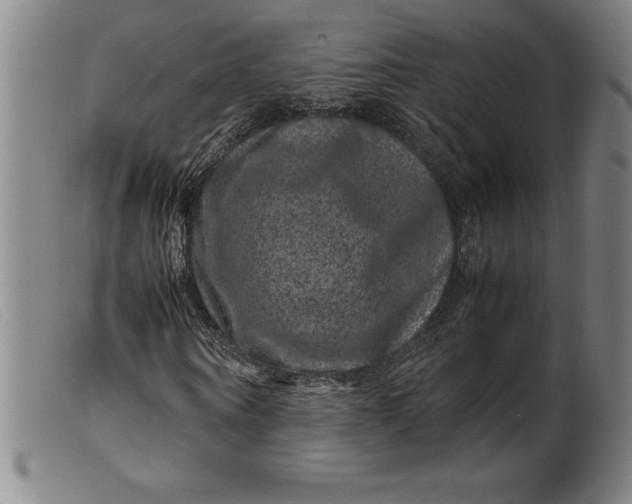X0000099470866200805231828
