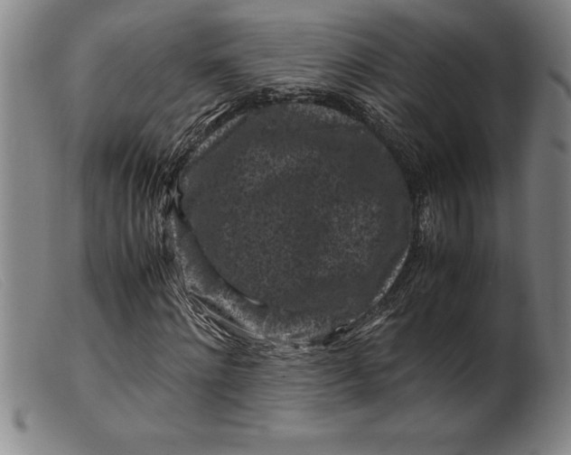 X0000099470868200805231828