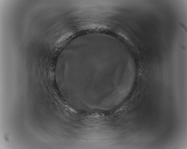 X0000099470869200805231828