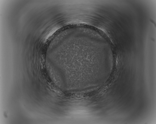 X0000099470871200805231828