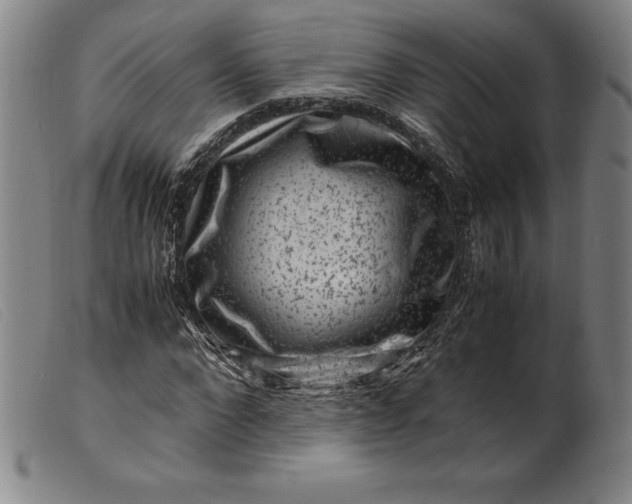 X0000099470872200805231828