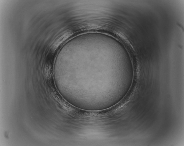 X0000099470873200805231828