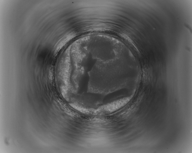 X0000099470874200805231828