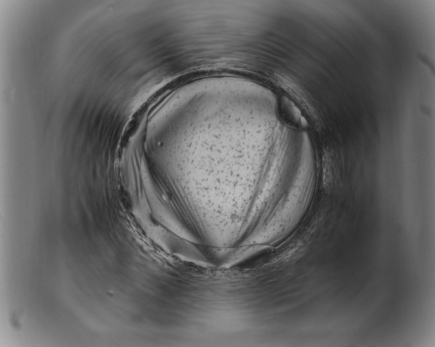 X0000099470876200805231828