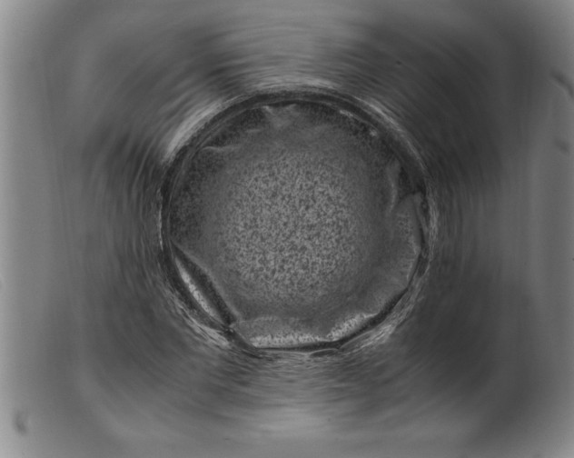 X0000099470877200805231828
