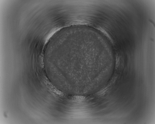 X0000099470878200805231828