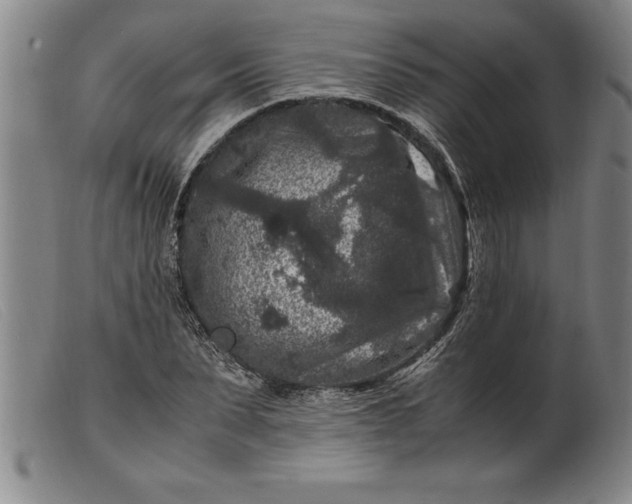 X0000099470879200805231828