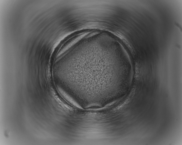 X0000099470880200805231828