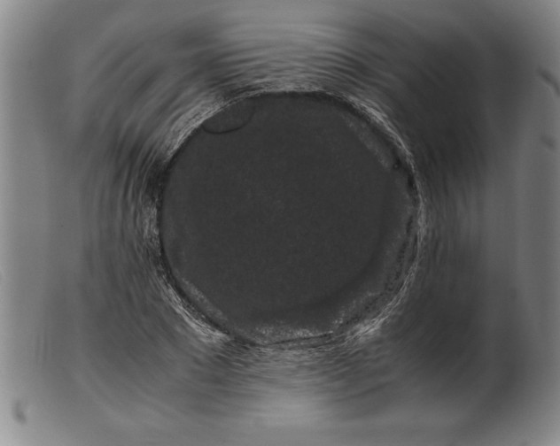X0000099470881200805231827