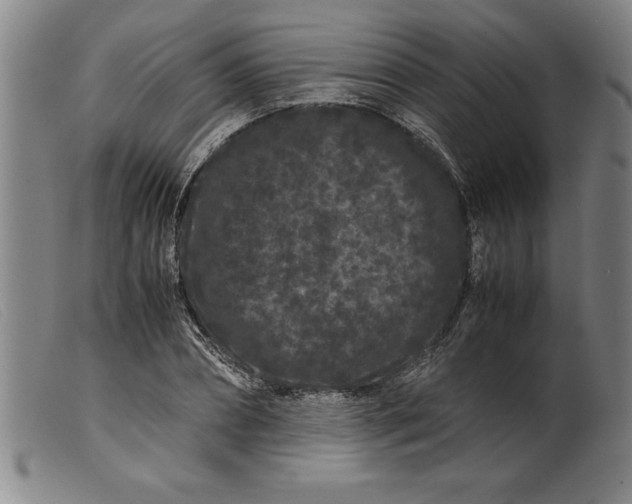 X0000099470882200805231827