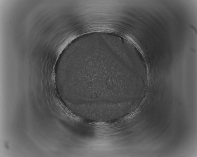 X0000099470883200805231827