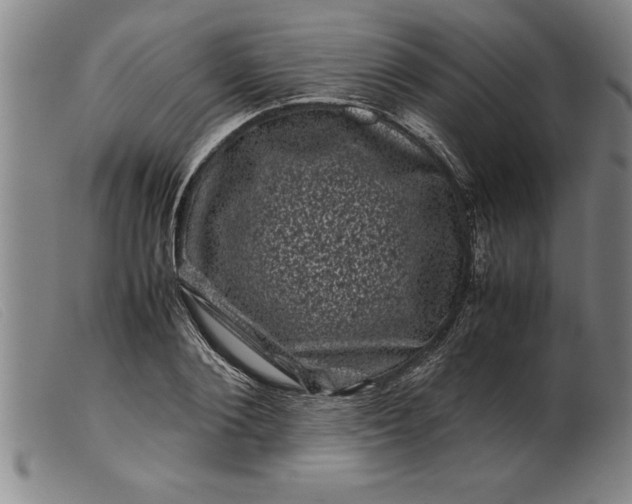 X0000099470884200805231827