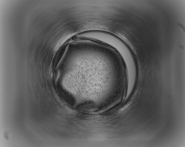 X0000099470885200805231827