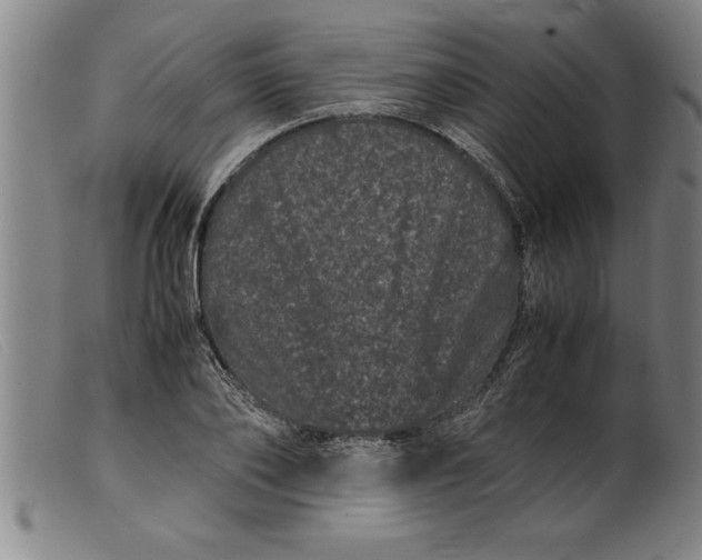 X0000099470886200805231827
