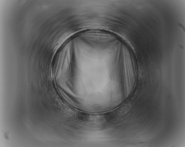 X0000099470887200805231827