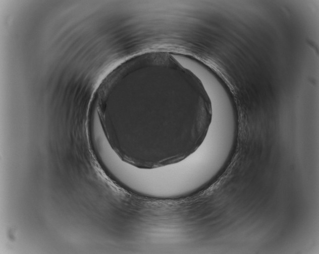 X0000099470888200805231827