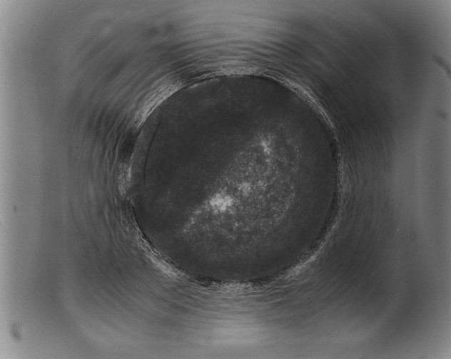 X0000099470889200805231827