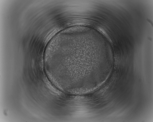 X0000099470890200805231827
