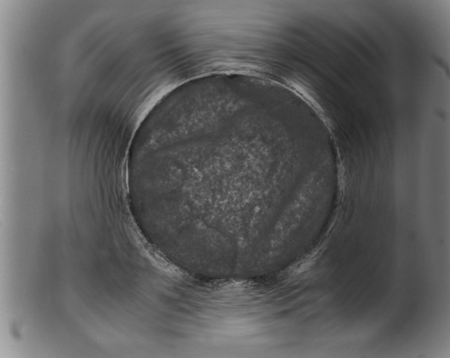 X0000099470891200805231827